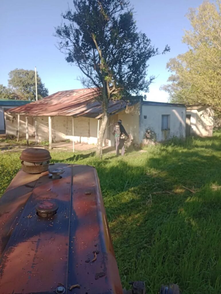 Puede ser una imagen de 1 persona, césped y árbol