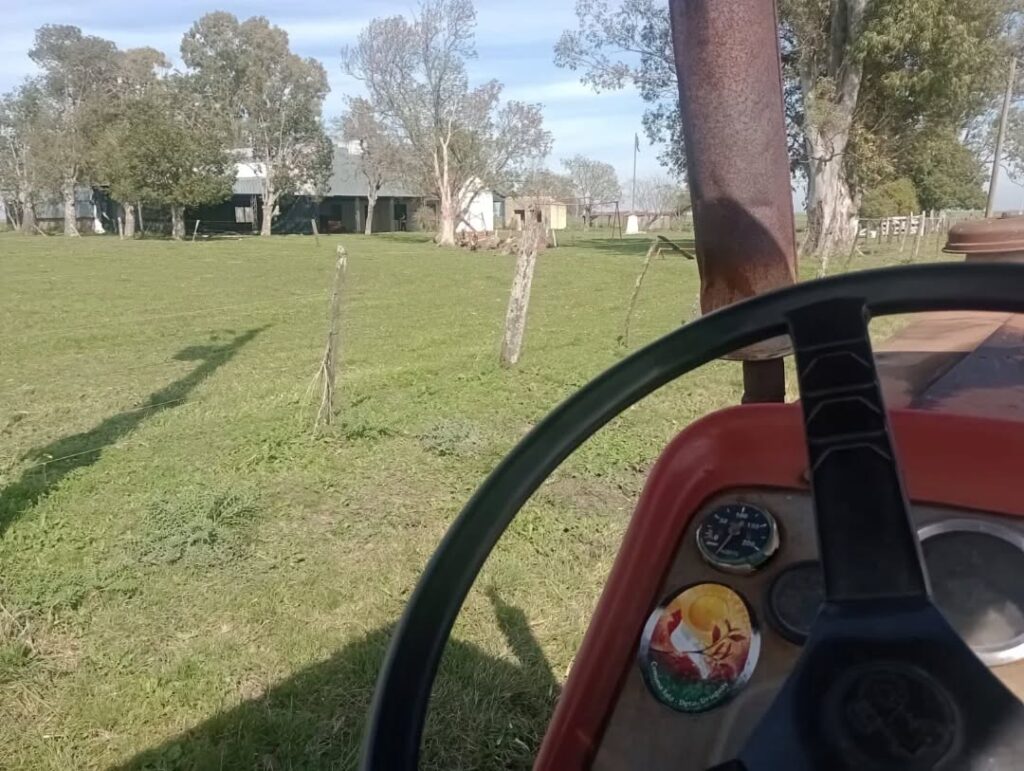 Puede ser una imagen de tractor y césped