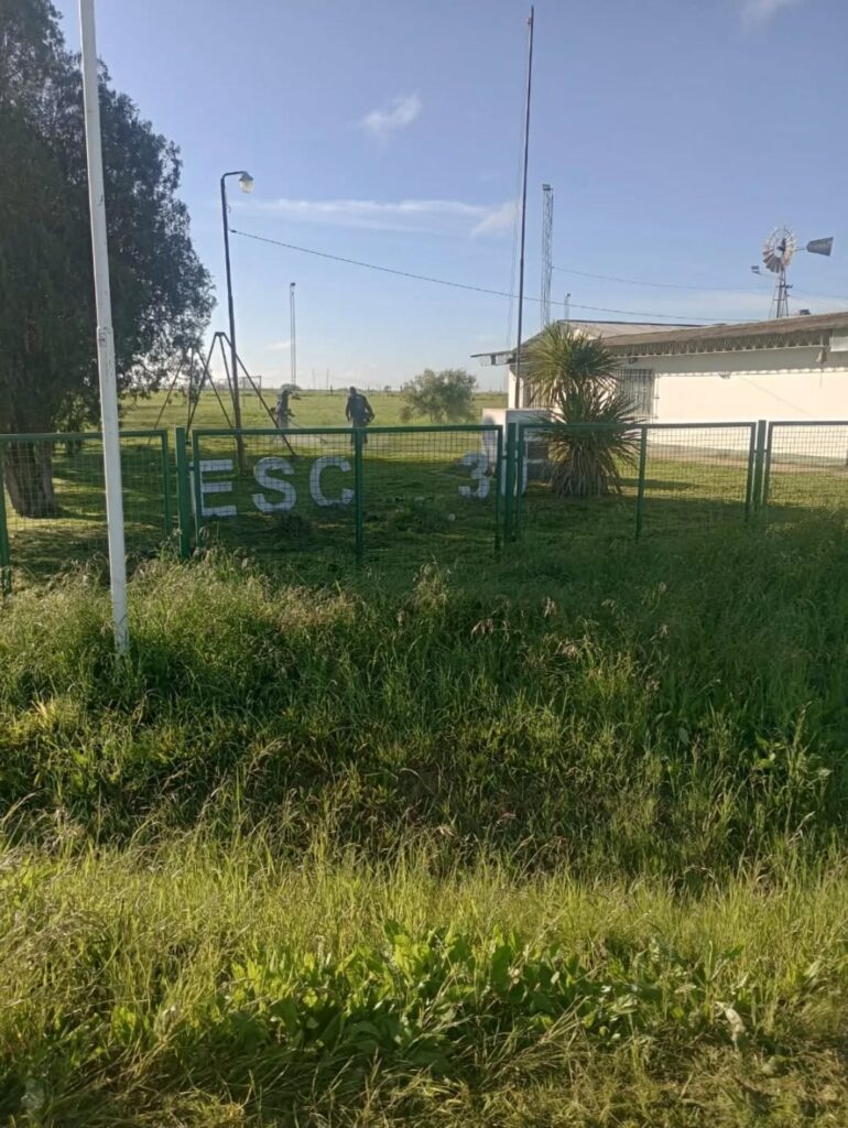 Puede ser una imagen de césped