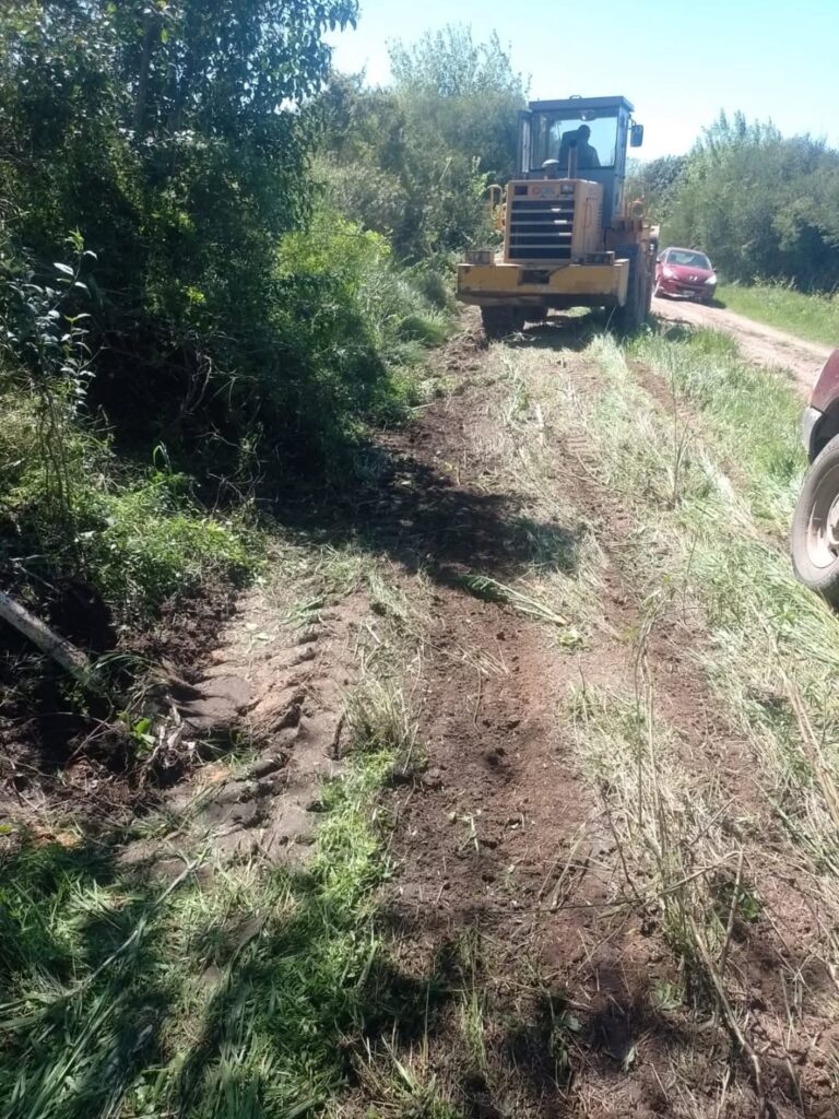 Puede ser una imagen de césped