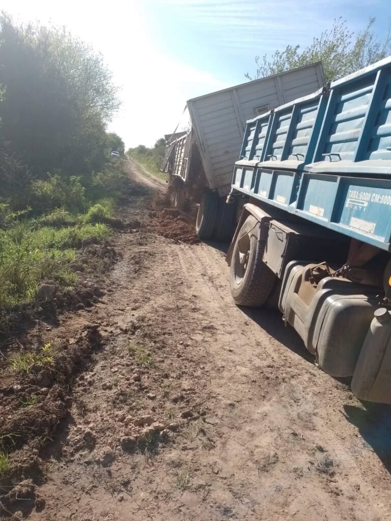 Puede ser una imagen de cosechadora y césped
