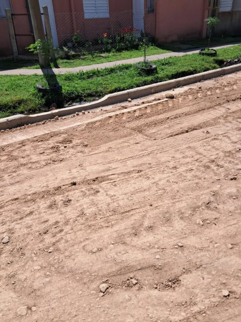 Puede ser una imagen de césped