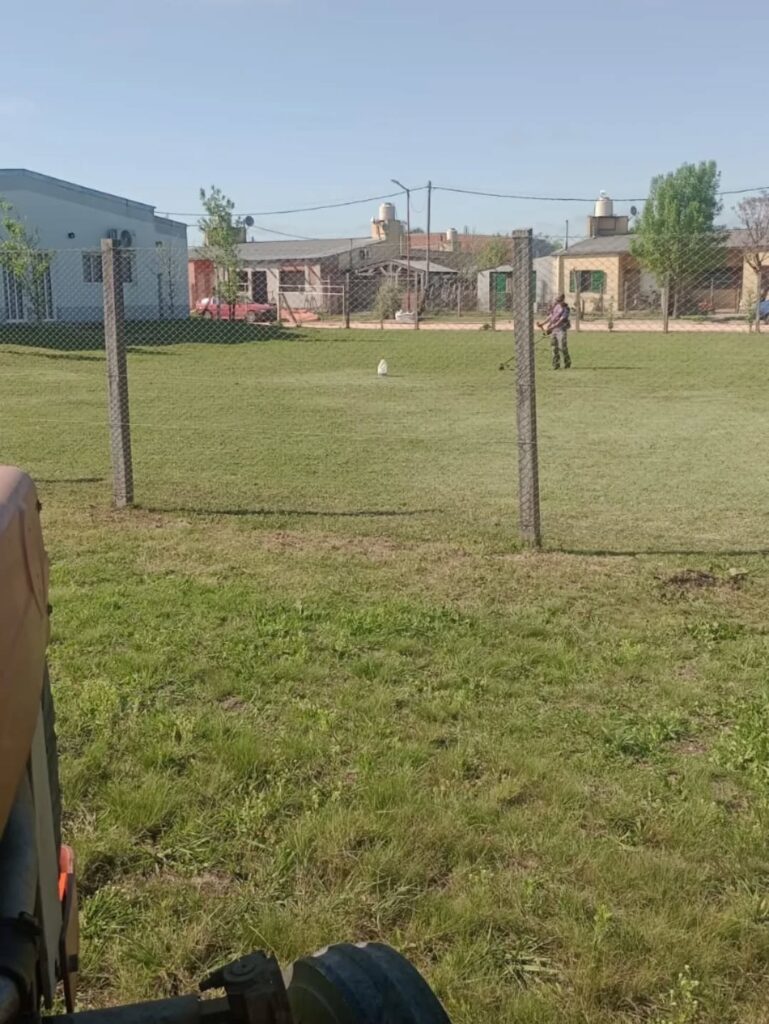 Puede ser una imagen de 1 persona y césped