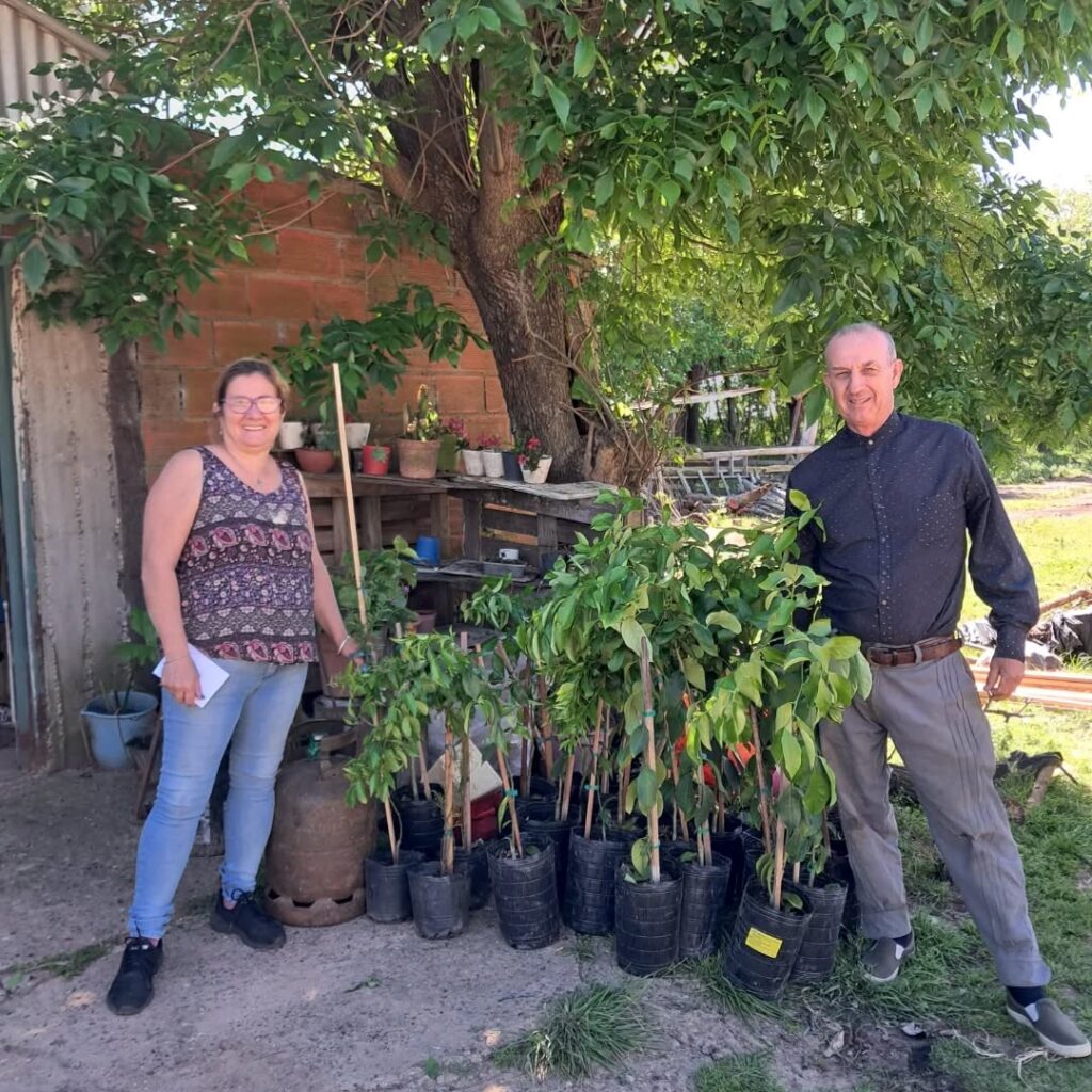 Puede ser una imagen de árbol