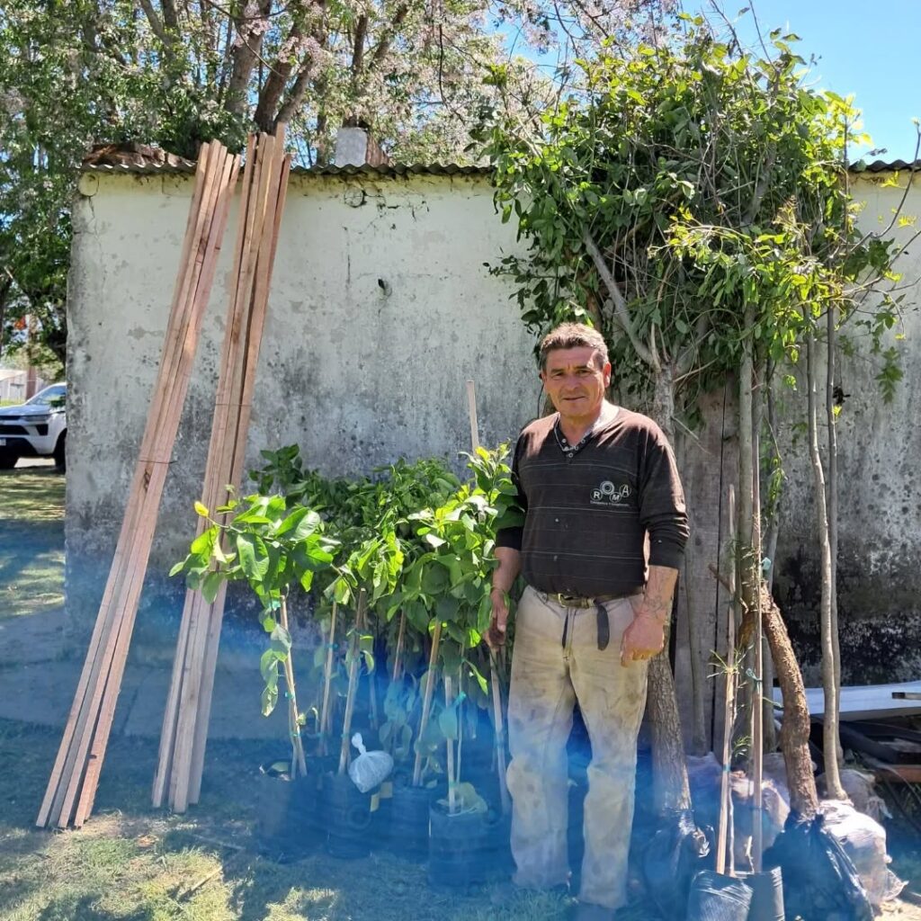 Puede ser una imagen de árbol